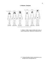 Referāts 'Pubertātes perioda fizioloģija', 16.