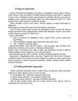 Referāts 'ASV vispārīgs raksturojums', 5.