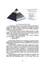 Diplomdarbs 'Otrreizējās pārstrādes papīrizejvielu savākšanas uzņēmuma projekts', 26.