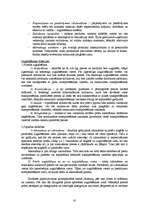 Diplomdarbs 'Otrreizējās pārstrādes papīrizejvielu savākšanas uzņēmuma projekts', 45.