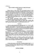 Diplomdarbs 'Otrreizējās pārstrādes papīrizejvielu savākšanas uzņēmuma projekts', 75.