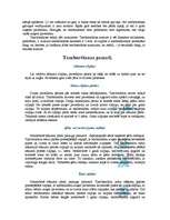 Konspekts 'Tamborēšana', 2.