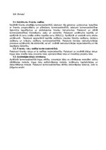 Konspekts 'SIA "Almats" finanšu stratēģija', 1.