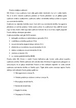 Konspekts 'SIA "Almats" finanšu stratēģija', 2.