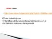 Prezentācija 'Ortogrāfijas kļūdas e-vidē', 2.