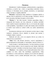 Konspekts 'Plānošana', 1.