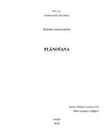 Konspekts 'Plānošana', 4.