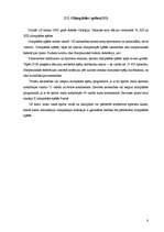 Referāts 'Olimpiskās spēles', 8.