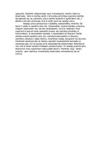 Eseja 'Veselīgs uzturs', 2.