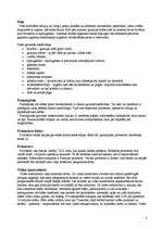 Referāts 'Datoru galvenās sastāvdaļas', 2.