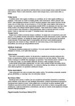 Referāts 'Datoru galvenās sastāvdaļas', 3.