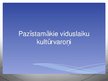 Prezentācija 'Pazīstamākie viduslaiku kultūrvaroņi', 1.