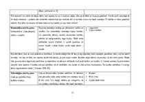 Prakses atskaite 'Aktīvā mācību un audzināšanas prakse pirmsskolā II', 12.