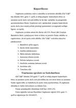 Biznesa plāns 'Mana biznesa ideja', 1.