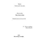 Biznesa plāns 'Mana biznesa ideja', 3.