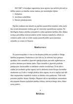 Biznesa plāns 'Mana biznesa ideja', 4.