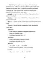 Biznesa plāns 'Mana biznesa ideja', 6.