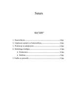 Biznesa plāns 'Mana biznesa ideja', 7.