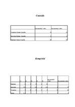 Biznesa plāns 'Mana biznesa ideja', 8.