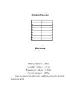 Biznesa plāns 'Mana biznesa ideja', 9.