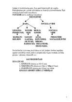 Referāts 'Bērna augšana un attīstība', 5.