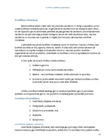 Referāts 'Konfliktu vadīšana organizācijā', 13.