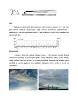 Referāts 'Piesārņojošo vielu izkliede atmosfērā un to ietekmējošo faktoru novērtēšana', 5.
