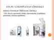Prezentācija 'Tīrīšanas līdzekļi', 13.