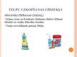 Prezentācija 'Tīrīšanas līdzekļi', 14.