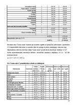 Biznesa plāns 'Brīvdienu mājas ”Lauku miers”', 26.