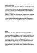 Referāts 'Pēdu pediatrija. Plakanā pēda', 7.