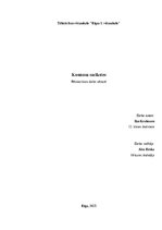 Referāts 'Kosmosa sacīkstes', 1.