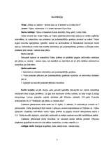 Referāts 'Pāreja uz vasaras - ziemas laiku un tā ietekme uz cilvēka dzīvi', 3.