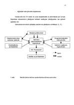 Referāts 'Jēkabpils pilsētas sadzīves atkritumu apsaimniekošanas sistēma', 18.