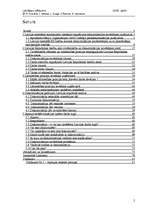 Referāts 'Diskriminācijas novēršanas problēmas Latvijas darba tirgū', 2.