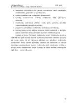 Referāts 'Diskriminācijas novēršanas problēmas Latvijas darba tirgū', 32.