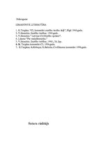 Referāts 'Galvojums', 11.