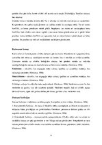 Referāts 'Sociālais statuss un sociālās lomas', 6.