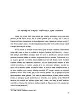 Diplomdarbs 'Tiesības uz privāto dzīvi un preses brīvības mijiedarbība', 26.