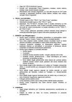 Paraugs 'Dīlera pārstāvja darba pienākumi', 2.