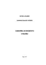 Referāts 'Sabiedrība ar ierobežotu atbildību', 1.