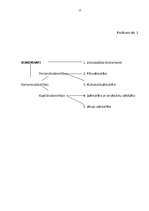 Referāts 'Sabiedrība ar ierobežotu atbildību', 17.