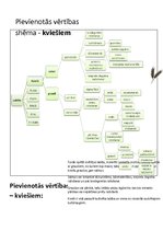 Konspekts 'Pievienotās vērtības shēma kviešiem', 1.