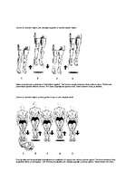 Konspekts 'Lēciena trenēšanas programma', 6.
