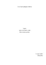 Paraugs 'Projekts "Boksa nometne jauniešiem"', 1.