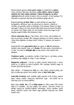 Konspekts 'Nagu sēnīte', 2.