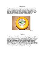 Referāts 'Ventspils novads', 4.