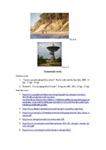 Referāts 'Ventspils novads', 5.