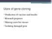 Prezentācija 'Gene Cloning', 8.