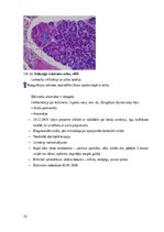 Referāts 'Kaķu pankreatīts', 15.